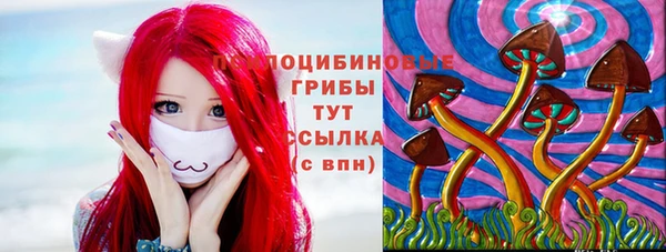 стафф Гусь-Хрустальный