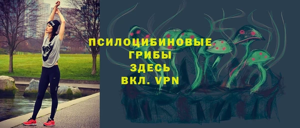 альфа пвп Гусиноозёрск