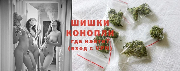 прущий лед Дмитриев