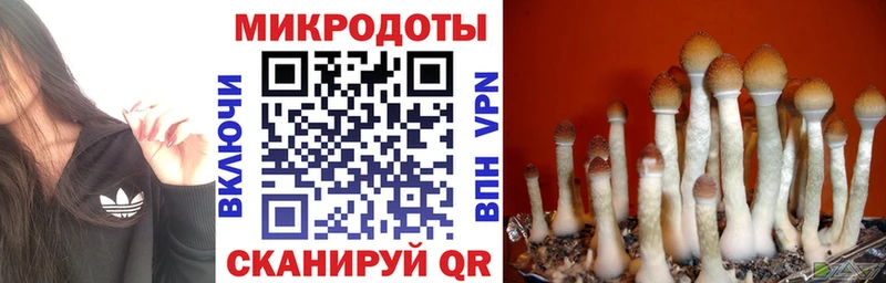 Купить  Калязин  Псилоцибиновые грибы Cubensis 